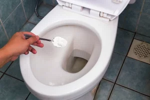 Epsom Salt : how to flush a toilet without water