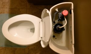 how to fix a running toilet: Testing the flapper
