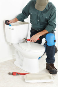 install a toilet