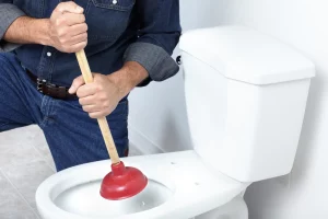 Elevated Plunger To Plunge a Toilet