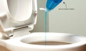  Enzyme to unclog A Toilet