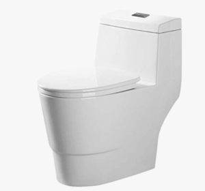 Woodbridge T-0001 One Piece Non-Clogging Toilet With Dual Flush