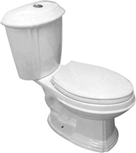 Renovator toilet Image