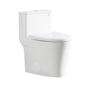 DeerValley DV-1F52807 Best 24 Inch Depth Toilet