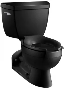 Kohler Barrington- Advanced Pressure Lite Toilet| Elongated Bowl Clear Rear Bidet