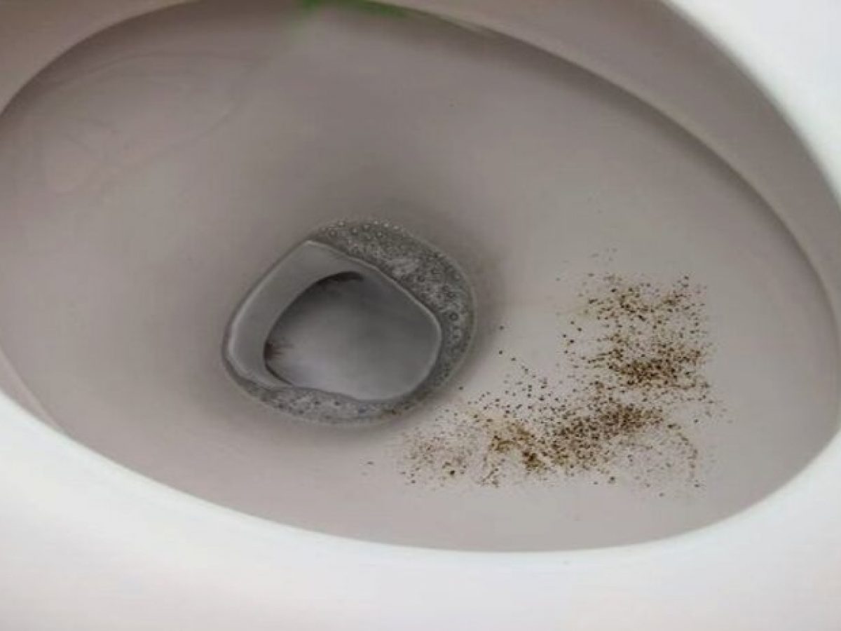 How to remove black mold in toilet