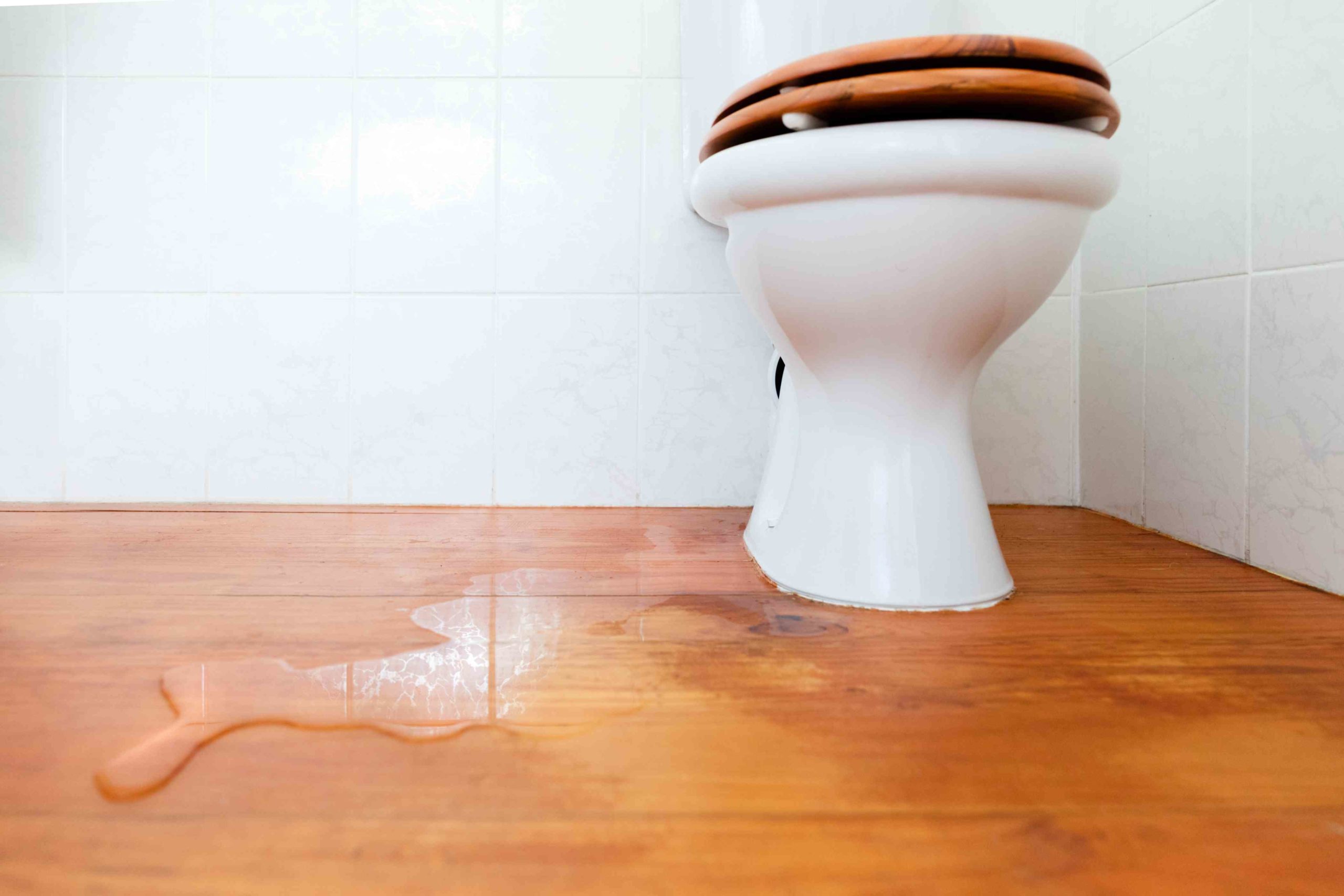 Best Troubleshoots for Toilet Leaking At Base