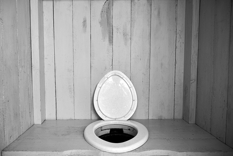 Disadvantages of vault toilet