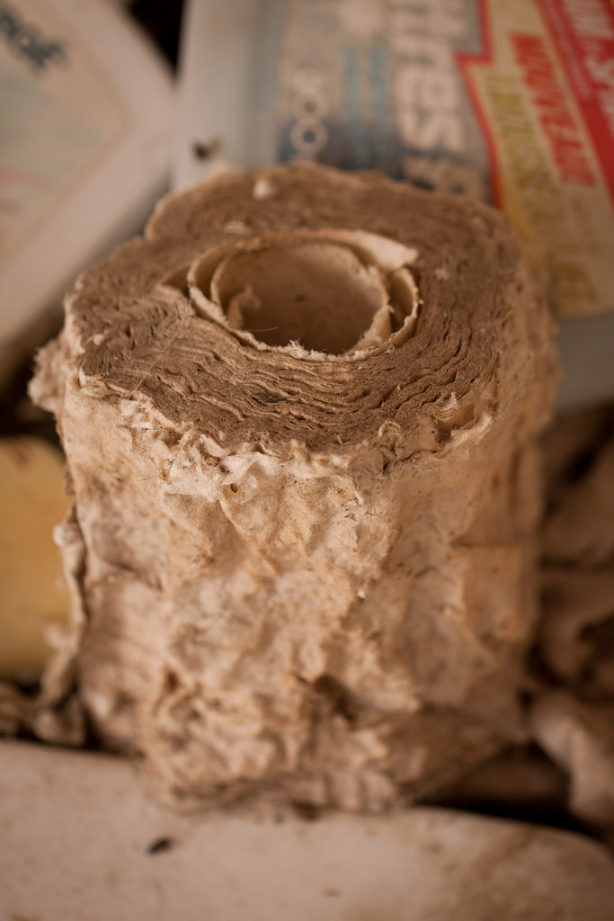 The Journey Of Toilet Paper A Brief History She Makes A Home