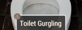 toilet gurgling